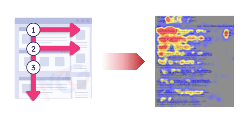 F deseni okuma modelinde bilgi akışı ve biçim