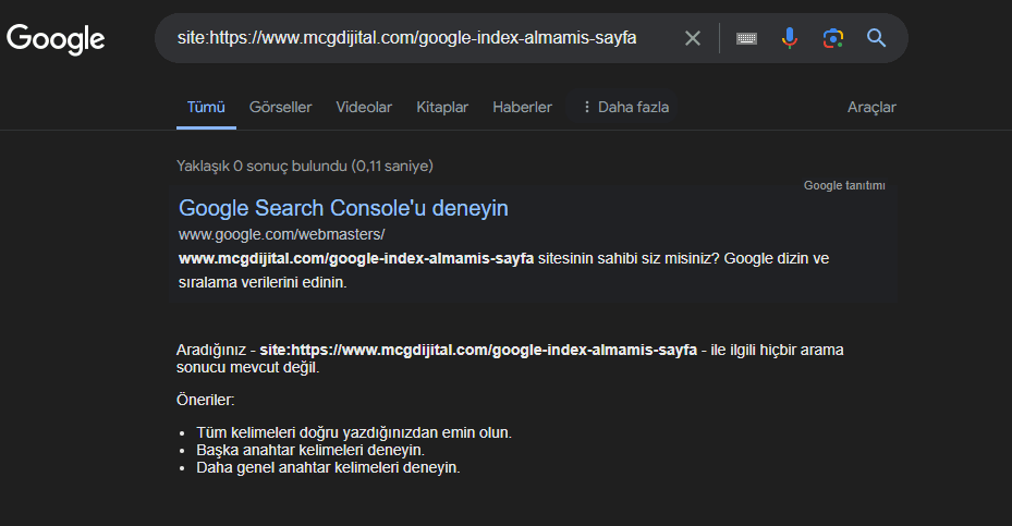 Google Dizine Eklenmemiş Sayfa Örneği