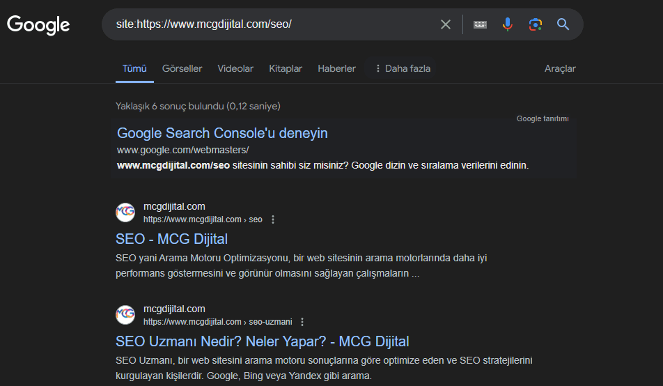 Google Dizine Eklenmiş Sayfa Örneği