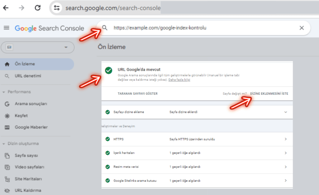 Search Console URL Denetim Sayfası