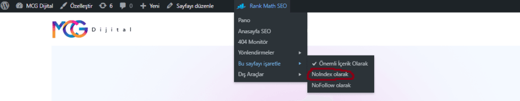 Rank Math NoIndex Etiketi