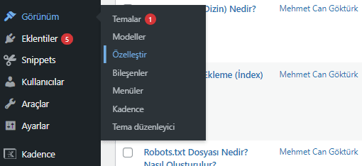 WordPress Tema Özelleştirme