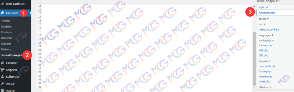 WordPress Tema Düzenleyici