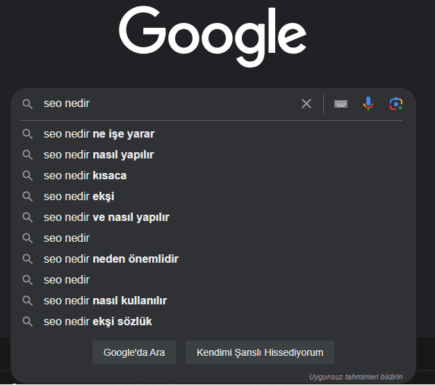 SERP Hazırlık Auto Complete Örneği