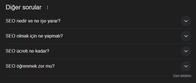 Google arama sonucu ilgili aramalar