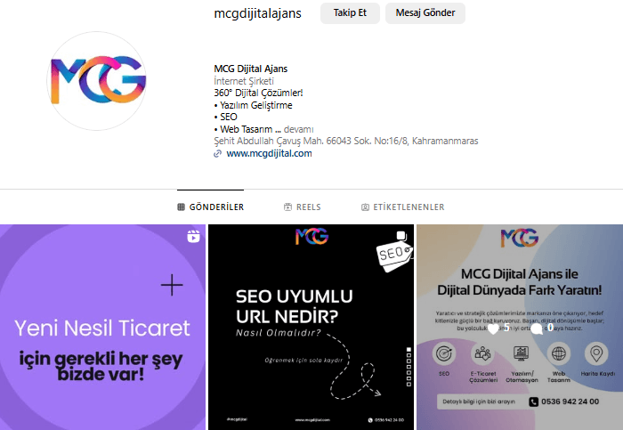 İçerik Pazarlama Türü