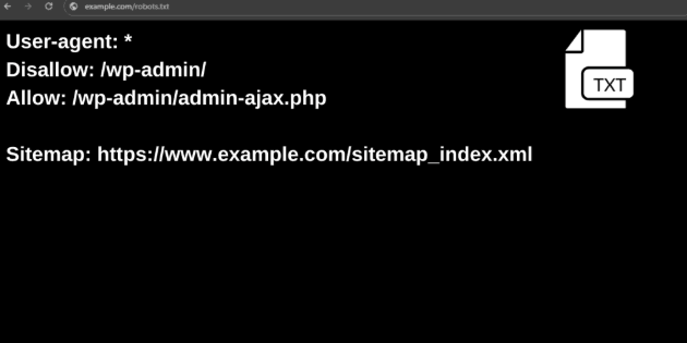 Robots.txt Kontrol Etmek
