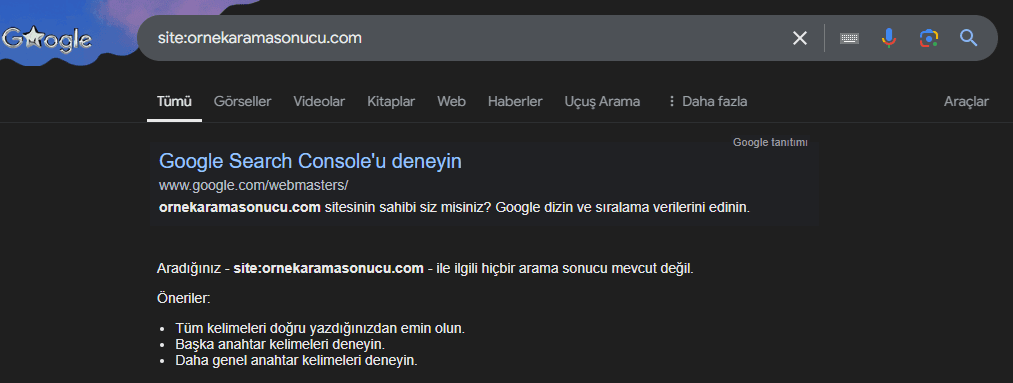 Google Cezası Örneği