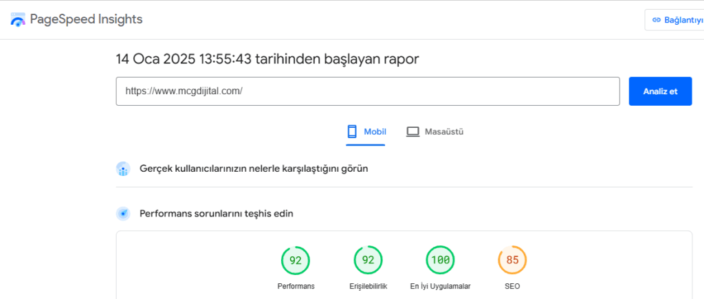 Google Sayfa Hızı Test Aracı