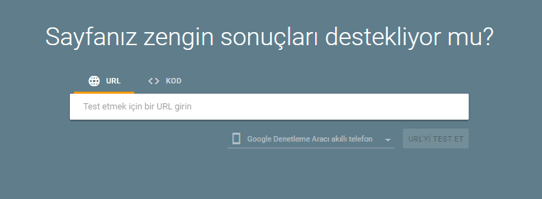 Rich Results Sayfası