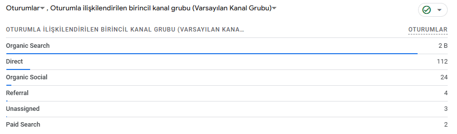Organik trafik analiz raporu