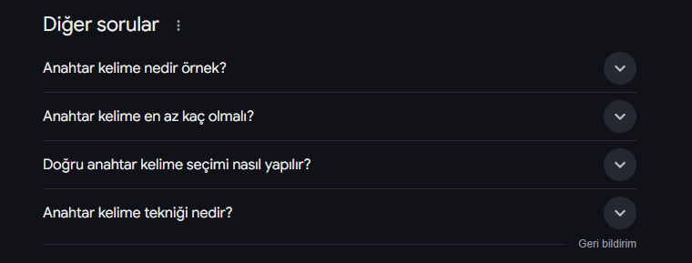 Google diğer sorular