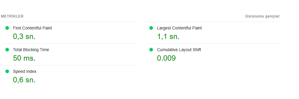 Google PageSpeed Insights sayfa yukleme hizi testi
