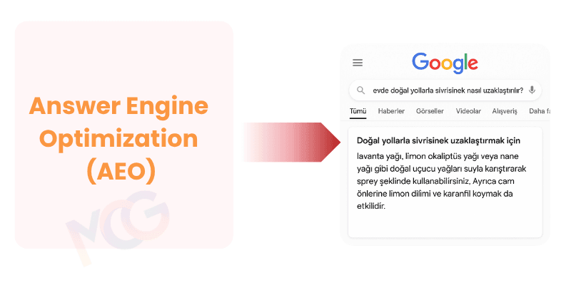 Answer Engine Optimization (AEO)