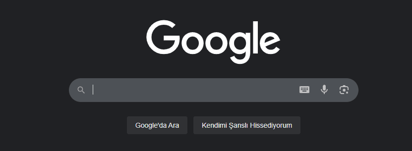 Google arama motoru anasayfa
